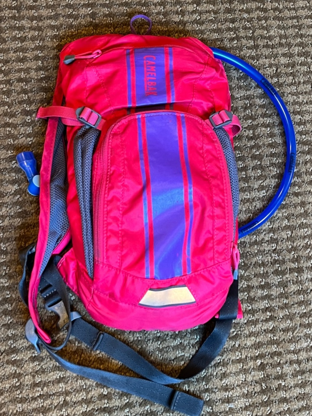 🩷💜CamelBak Kids’ Mini M.U.L.E 50oz hydration pack. NEW bladder. EUC!💜🩷